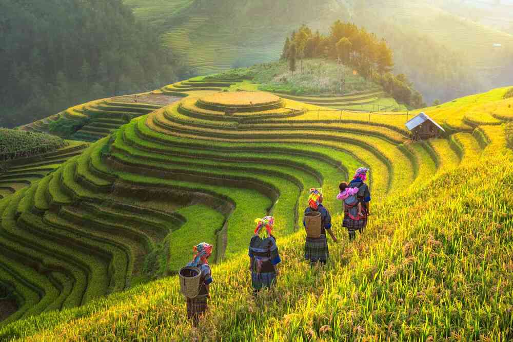 Join Legend Travel Group and make lifelong friends